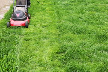 Electric Lawn Mower mows grass. Green lawn. 
