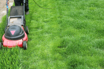Electric Lawn Mower mows grass. Green lawn. 