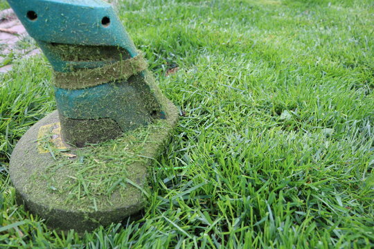 Lawn mower trimer mows grass. Green lawn. Neat work. 