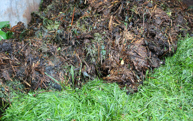 Compost. Rotted brown mass and green grass waste. Organic waste.