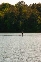 Fototapeta na wymiar Paddle on the lake