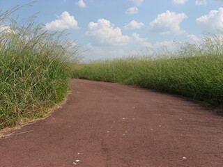 行く道