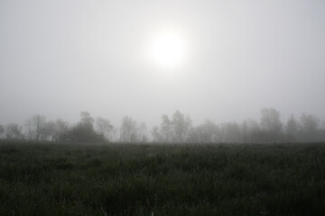 Fototapeta na wymiar early foggy morning