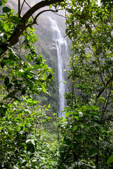 Wli Waterfalls in the middle of the mountains in Ghana.