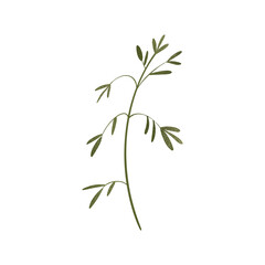 Fototapeta premium Cute sprig of grass. Textural digital art flat position, top view. Print for wrapping paper, packaging, fabrics, decoration, web, invitation, wedding, banners, stickers.