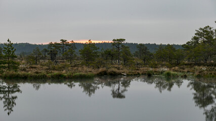 the swamp lake, dark tree silhouettes in the background and the sunrise sky