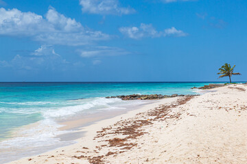 Looking out over a sandy beach on the Caribbean island of Barbados