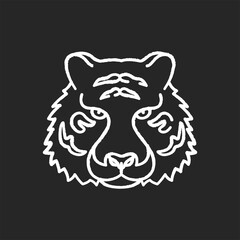 Bengal tiger chalk white icon on black background. Panthera Tigris. National Indian animal. Symbol of power and strength. Extant big cat species. Lord of the Jungle. Isolated vector chalkboard