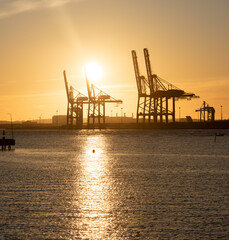 Fototapeta na wymiar Ship to shore container cranes at sunset