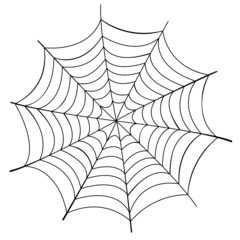 Vector illustration of a spider web 