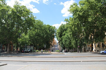 View of street with trees in rome italy