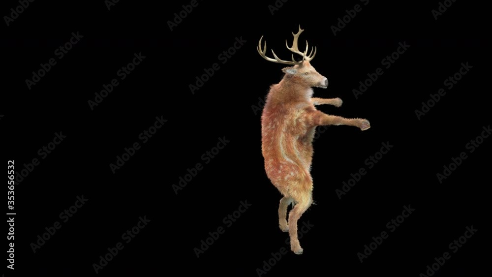 Wall mural deer dance cg fur 3d rendering animal realistic cgi vfx animation loop composition 3d mapping cartoo