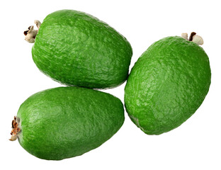 Tropical fruit feijoa isolated on white background. Acca sellowiana