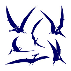 Set of Pterosaurs logo design vector. Icon Symbol. Template Illustration © shuttersport