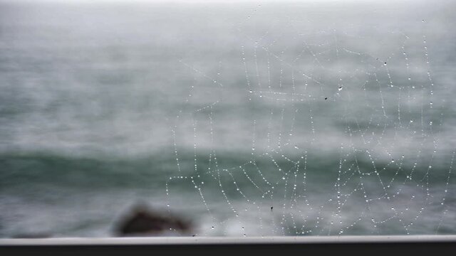 Focus on cobweb with raindrops against the waves on a rainy day.