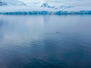 Antartica