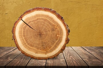 Round old wood slice on desk