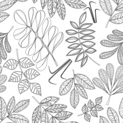 Autumn leaves on white background. Black and white textile print