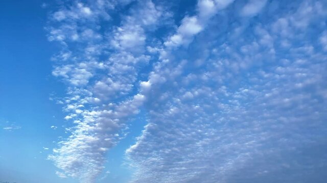青空に広がる雲 高積雲