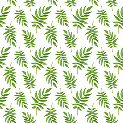 Seamless pattern with watercolor green tropical palm branch, tree leaf on white background. Hand drawn summer illustration for design nature print, wrapping paper, textile, fabric, scrapbooking
