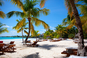Dominicana. Culture Of The Dominican Republic. Sights and nature of the Dominican Republic.