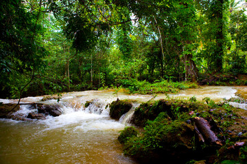 Dominicana. Culture Of The Dominican Republic. Sights and nature of the Dominican Republic.