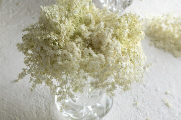 Elder flowers in a vase