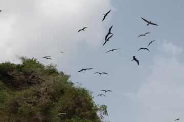 Dominicana. Culture Of The Dominican Republic. Sights and nature of the Dominican Republic.