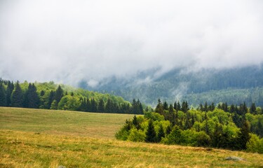 fog over the forest in a mountainous area