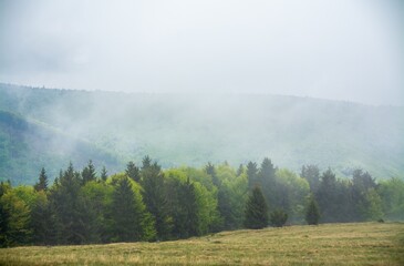 fog over the forest in a mountainous area