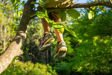 Kids sit on a tree with legs hang down. Childhood at nature concept
