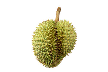 Fresh Durian isolated on white background with clipping path.