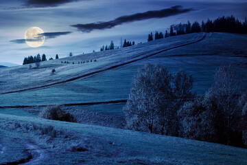 forest in red foliage at autumn night. trees with branches with red foliage in forest. hillside in mountains with high peak in the distance in full moon light