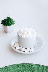 Cup of cappuccino with marshmallow and green plant on white background