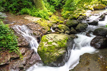 Fototapeta premium Fast and full-flowing mountain stream in a subtropical forest. The concept of natural beauty. Long exposure. Not far from the village of Sarpi, on the border with Turkey. Adjara, Georgia, Eurasia.