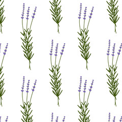 lavender doodle pattern, vector illustration