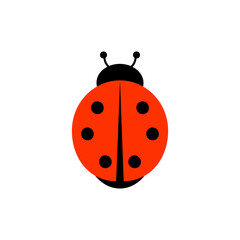 ladybug insect. Red beetle with black dots, circles. object vector illustration isolated on white background