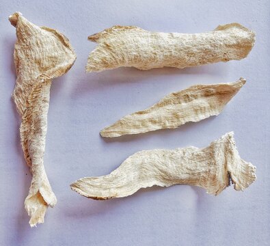 the Pueraria mirifica or  White kwao krua 