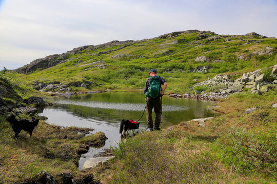 On a hike in the Velfjord and Bindal mountains, Nordland county