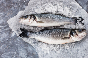 Raw fresh sea bream fish, top view, gray background