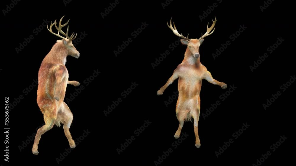 Wall mural deer dance cg fur 3d rendering animal realistic cgi vfx animation loop composition 3d mapping cartoo