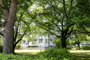 春日部市にある団地の風景　埼玉県春日部市　日本