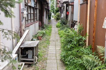 Back Alley iin Summer - Niigata, Japan