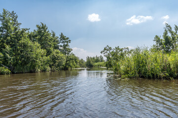 wide view of a river, with green trees and a blue sky