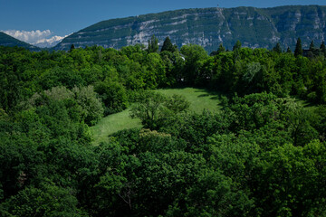 Green meadow on the background of the mountain.
