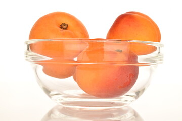 Ripe sweet, organic apricots, close-up, on a white background.