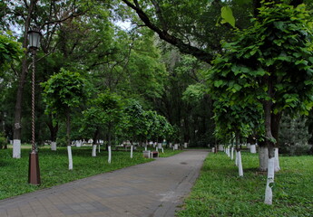 may Park, a dark, overcast alley with lanterns and benches. Spring landscape