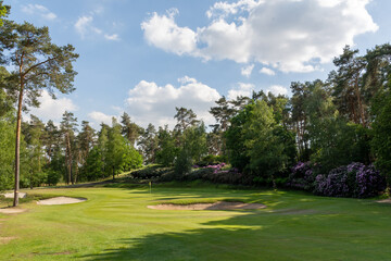 Fototapeta premium Herkenbosch, The Netherlands - May 27, 2020: The Green of Hole 6 of Golf & Country Club De Herkenbosche