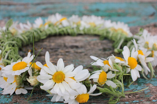 Wreath made of daisy wildflowers on rustic wooden background with copy space. Chamomile flowers crown on Midsummer. Top view, flat lay
