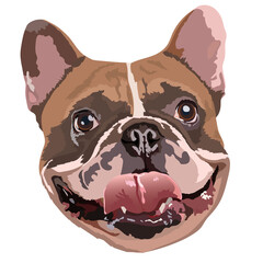 English bulldog face vector illustration